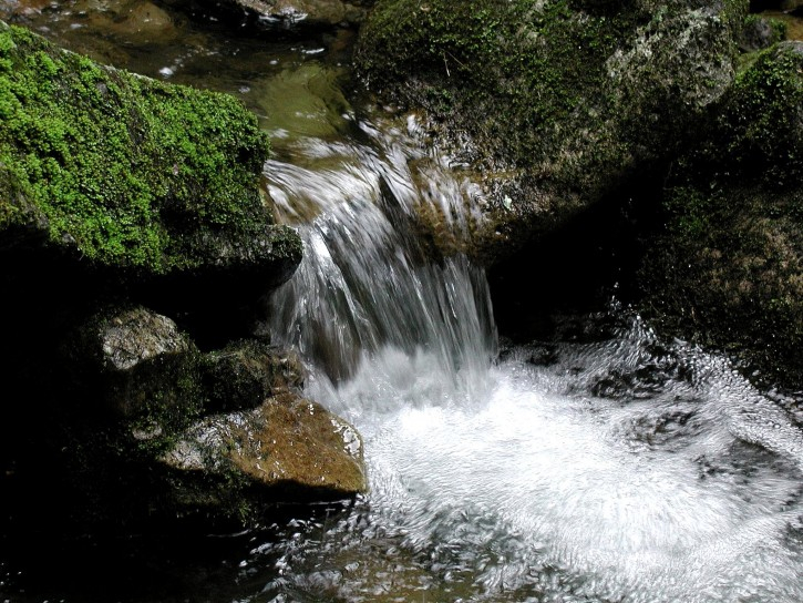 nature-stream