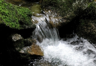 nature-stream