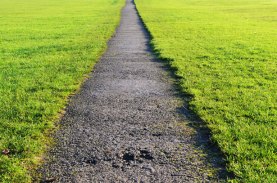 path-and-lawn